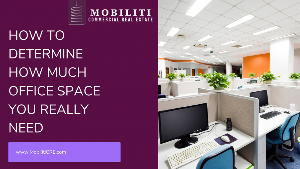 How to Determine How Much Office Space You Really Need